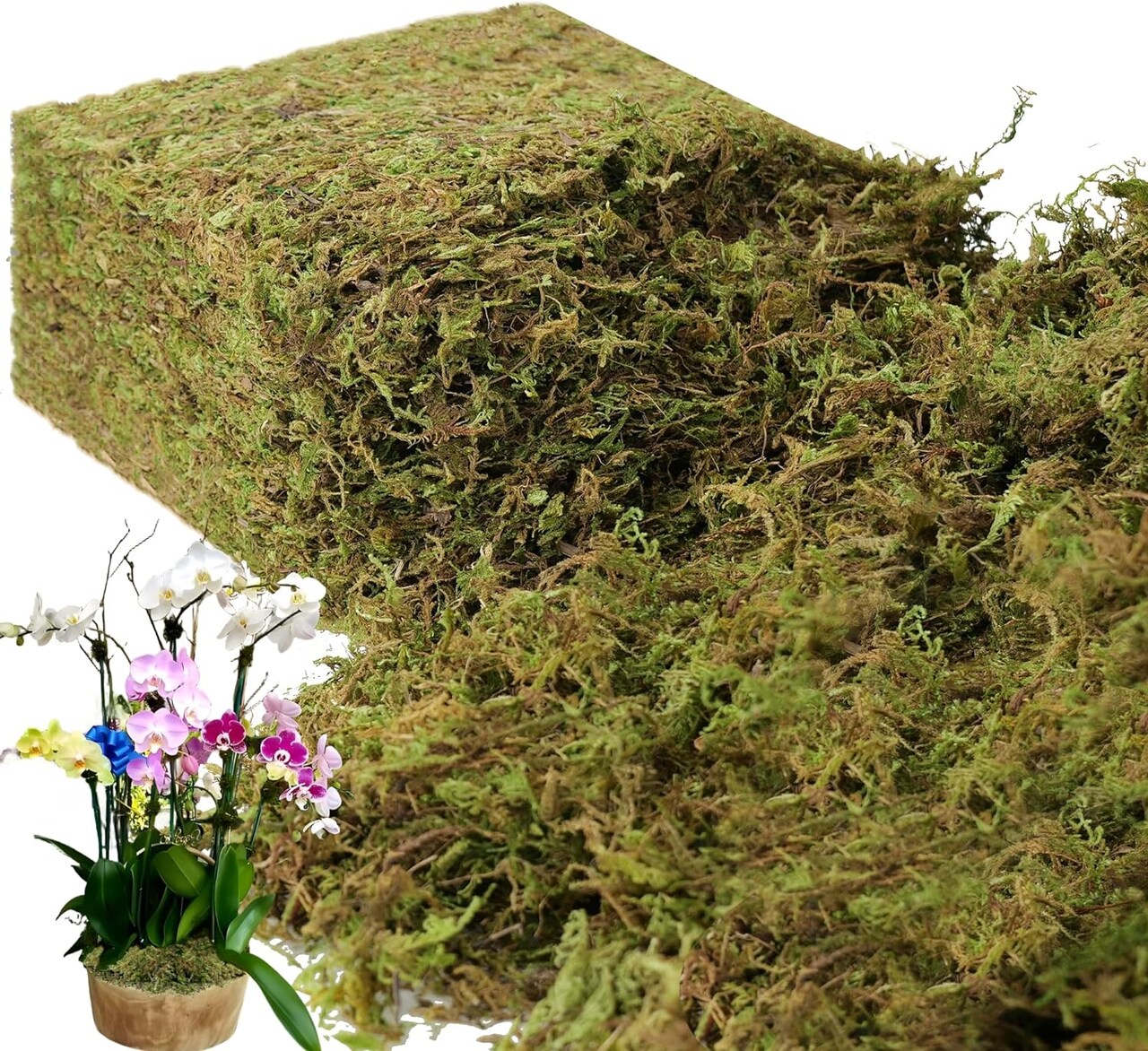 Large Capacity Fake Moss for Plants Indoor, Fresh Green Moss for Potted Plants Craft Moss for Home & Office Decor Fairy Garden Decoration